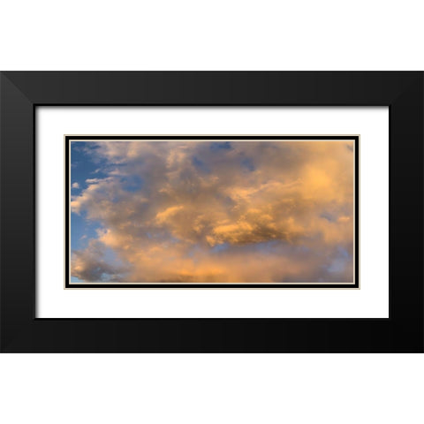 Cloudy Sky II Black Modern Wood Framed Art Print with Double Matting by Grayscale