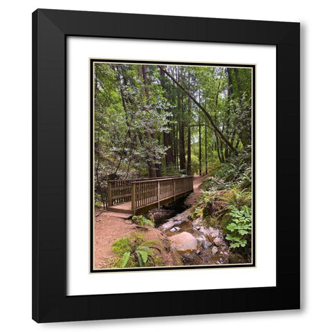 Forest Bridge III Black Modern Wood Framed Art Print with Double Matting by Grayscale