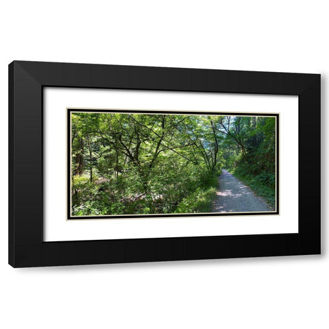 Forest Canopy II Black Modern Wood Framed Art Print with Double Matting by Grayscale
