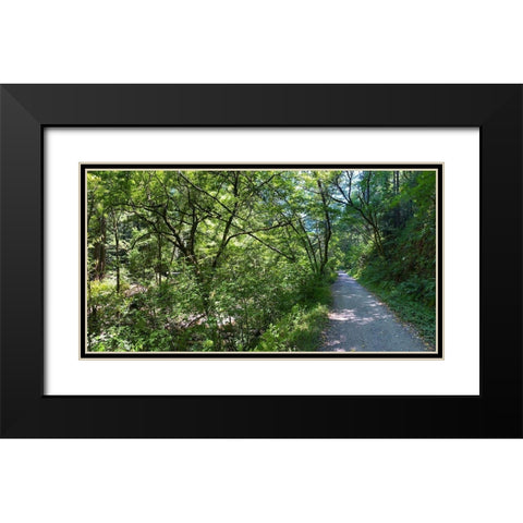 Forest Canopy II Black Modern Wood Framed Art Print with Double Matting by Grayscale