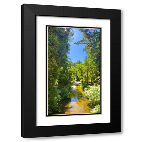 Salmon Stream I Black Modern Wood Framed Art Print with Double Matting by Grayscale