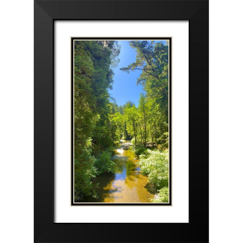 Salmon Stream I Black Modern Wood Framed Art Print with Double Matting by Grayscale