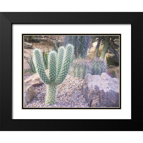 Cactus Arrangement I Black Modern Wood Framed Art Print with Double Matting by Grayscale