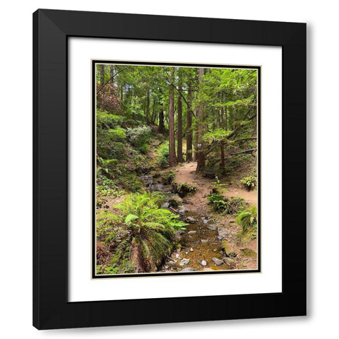 Creekside I Black Modern Wood Framed Art Print with Double Matting by Grayscale