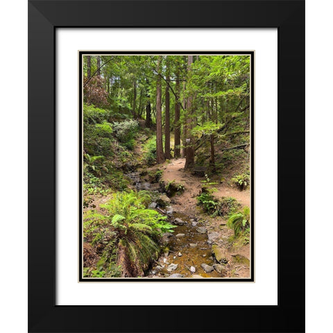 Creekside I Black Modern Wood Framed Art Print with Double Matting by Grayscale