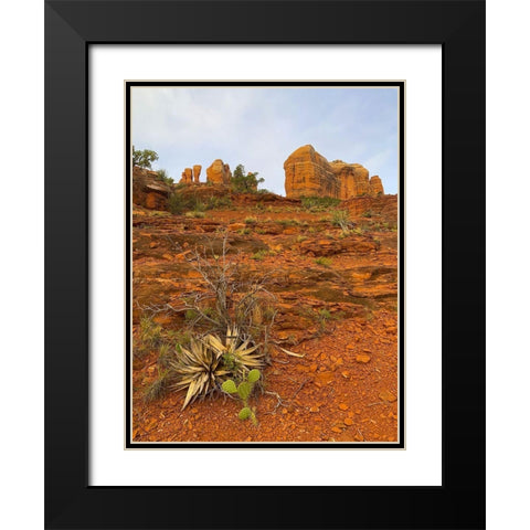 Sedona II Black Modern Wood Framed Art Print with Double Matting by Grayscale