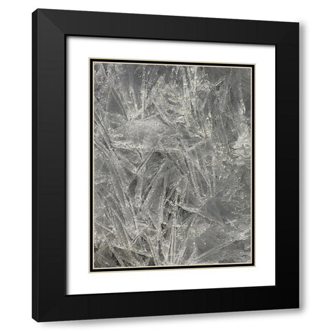 Ice I Black Modern Wood Framed Art Print with Double Matting by Grayscale
