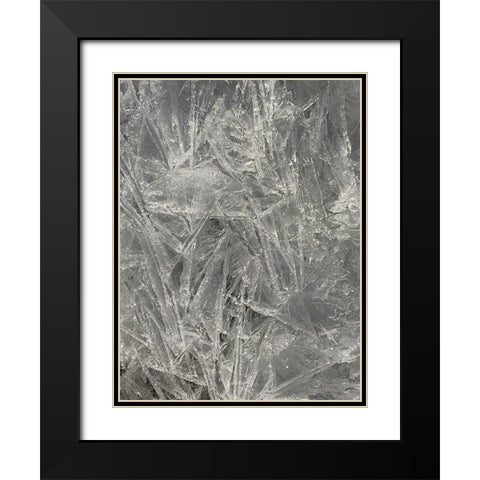Ice I Black Modern Wood Framed Art Print with Double Matting by Grayscale