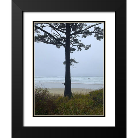 Costal Tree View I Black Modern Wood Framed Art Print with Double Matting by Grayscale