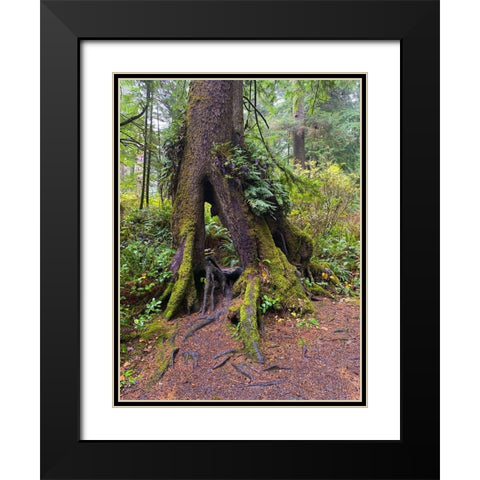 Forest Tree I Black Modern Wood Framed Art Print with Double Matting by Grayscale