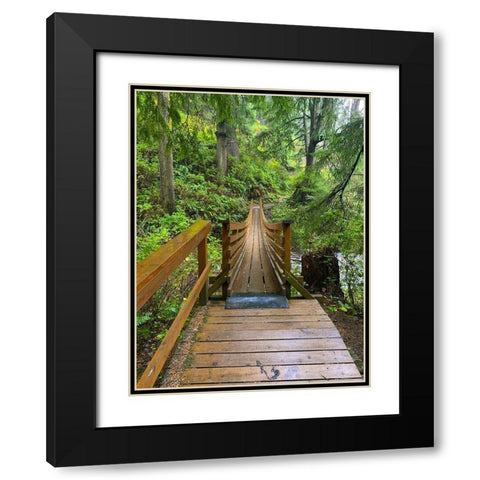 Forest Bridge IV Black Modern Wood Framed Art Print with Double Matting by Grayscale