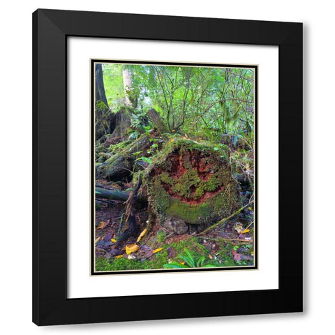 Forest Happy Face II Black Modern Wood Framed Art Print with Double Matting by Grayscale