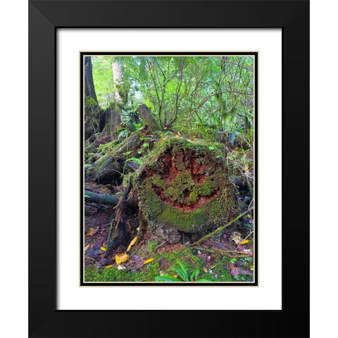 Forest Happy Face II Black Modern Wood Framed Art Print with Double Matting by Grayscale
