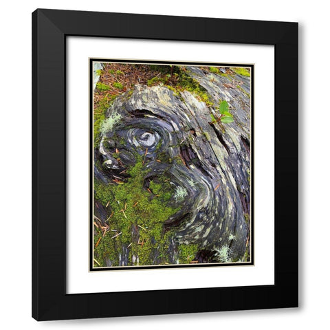 The Scream Black Modern Wood Framed Art Print with Double Matting by Grayscale