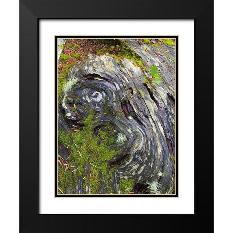 The Scream Black Modern Wood Framed Art Print with Double Matting by Grayscale