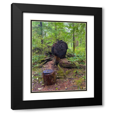 Forest Happy Face III Black Modern Wood Framed Art Print with Double Matting by Grayscale