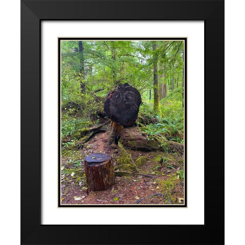 Forest Happy Face III Black Modern Wood Framed Art Print with Double Matting by Grayscale