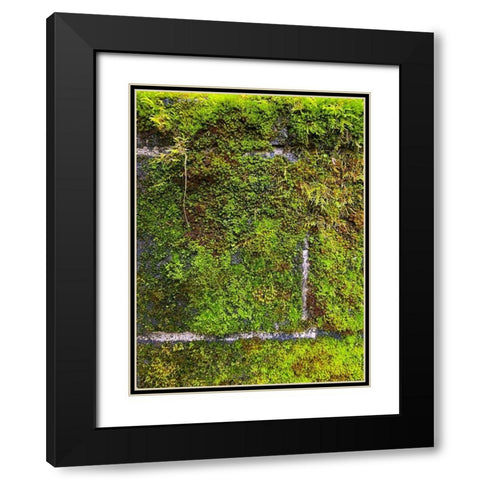 Stone Wall I Black Modern Wood Framed Art Print with Double Matting by Grayscale