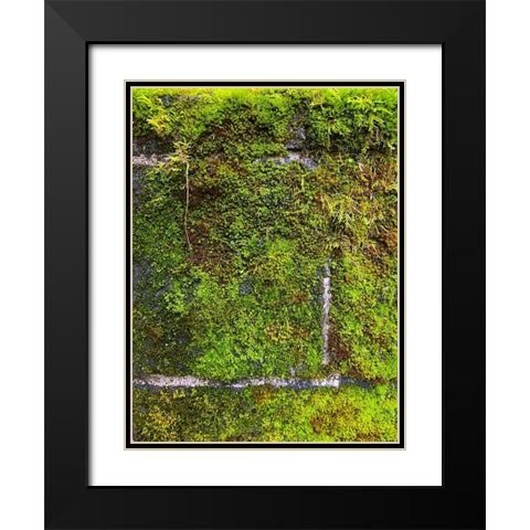 Stone Wall I Black Modern Wood Framed Art Print with Double Matting by Grayscale