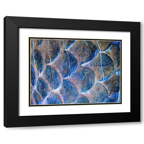 Wooden Scales II Black Modern Wood Framed Art Print with Double Matting by Grayscale
