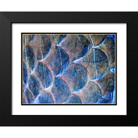 Wooden Scales II Black Modern Wood Framed Art Print with Double Matting by Grayscale