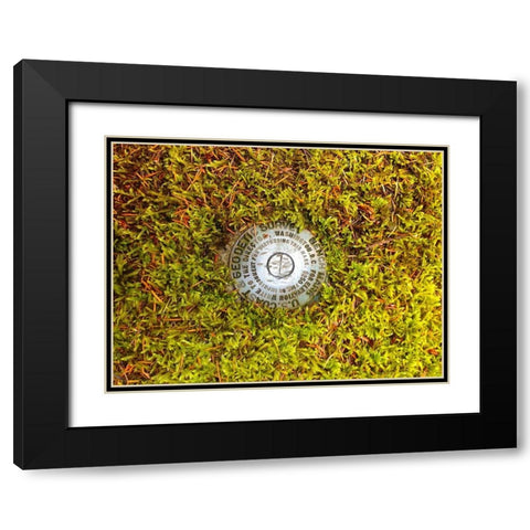 US Geodetic Survey Point I Black Modern Wood Framed Art Print with Double Matting by Grayscale