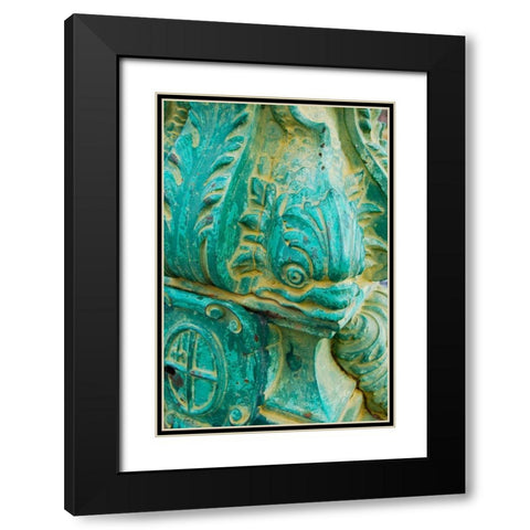 Fish Head I Black Modern Wood Framed Art Print with Double Matting by Grayscale