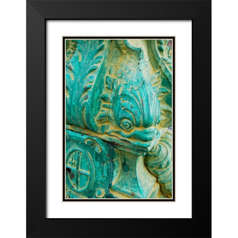 Fish Head I Black Modern Wood Framed Art Print with Double Matting by Grayscale