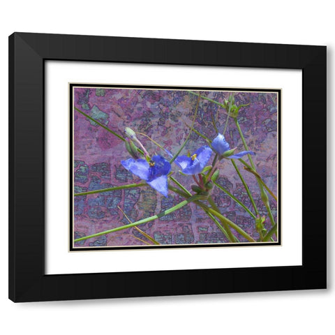 Tradescantia Black Modern Wood Framed Art Print with Double Matting by Popcorn
