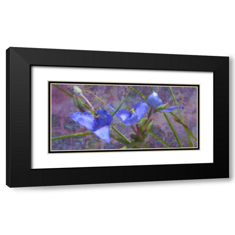Tradescantia Black Modern Wood Framed Art Print with Double Matting by Popcorn