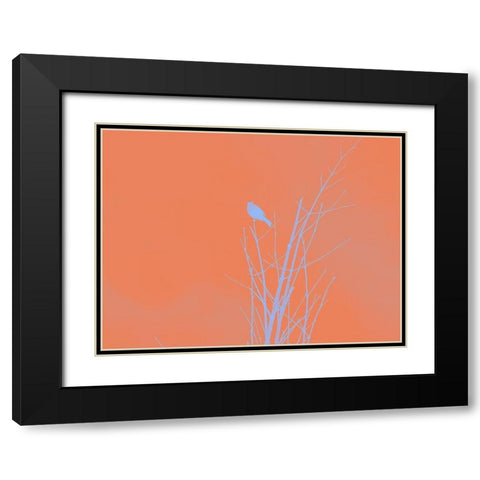 Bird Silhouette I Black Modern Wood Framed Art Print with Double Matting by Popcorn