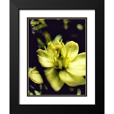 Moody White Flower II Black Modern Wood Framed Art Print with Double Matting by Popcorn