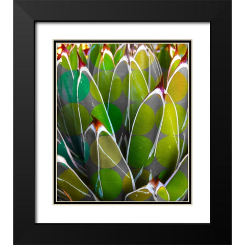 Moods Agave I Black Modern Wood Framed Art Print with Double Matting by Tenoever, William