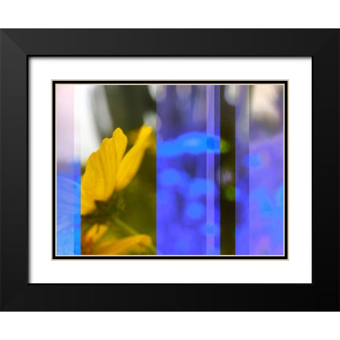 Stripes: Brittle Bush Black Modern Wood Framed Art Print with Double Matting by Tenoever, William