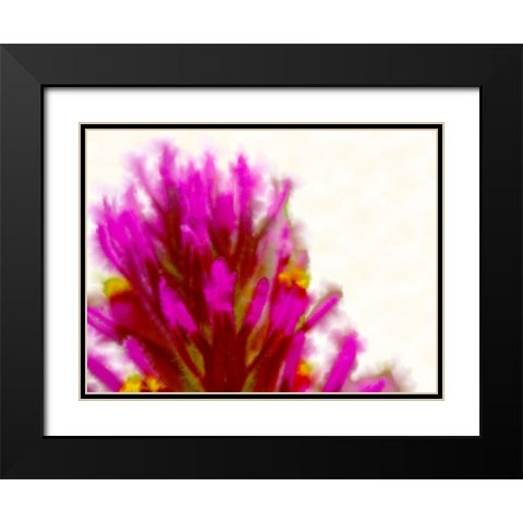 Owl Clover in Bloom 2 Black Modern Wood Framed Art Print with Double Matting by Tenoever, William