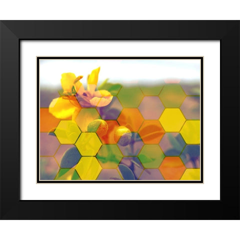 HexiFlora 4 Black Modern Wood Framed Art Print with Double Matting by Tenoever, William