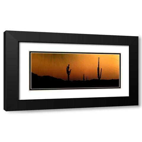 CopperSkies Black Modern Wood Framed Art Print with Double Matting by Tenoever, William