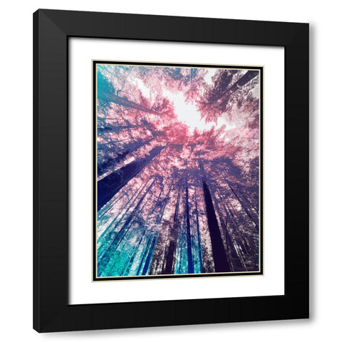 Redwood Trees Tint 1 Black Modern Wood Framed Art Print with Double Matting by Tenoever, William