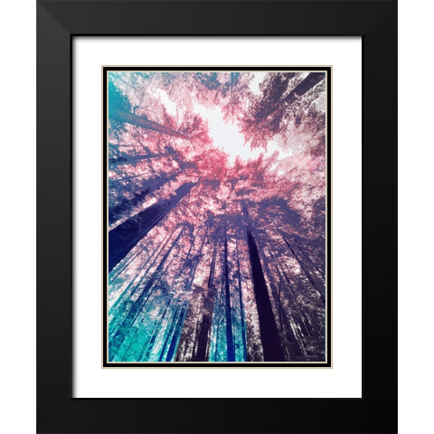 Redwood Trees Tint 1 Black Modern Wood Framed Art Print with Double Matting by Tenoever, William