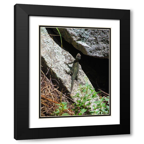 Lizards III Black Modern Wood Framed Art Print with Double Matting by Popcorn