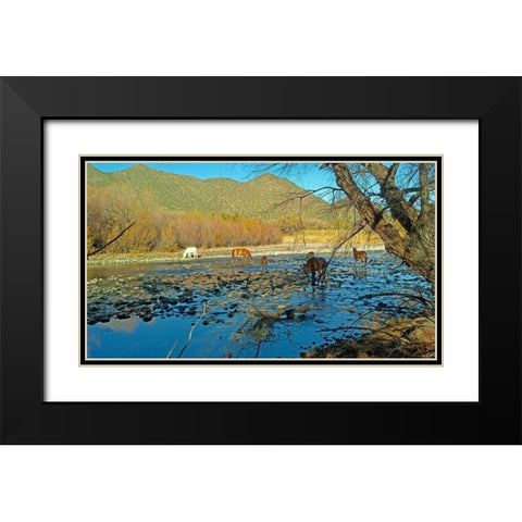 Wild Horses IV Black Modern Wood Framed Art Print with Double Matting by Popcorn