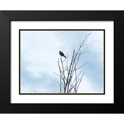 Bird Silhouette: Original Black Modern Wood Framed Art Print with Double Matting by Popcorn