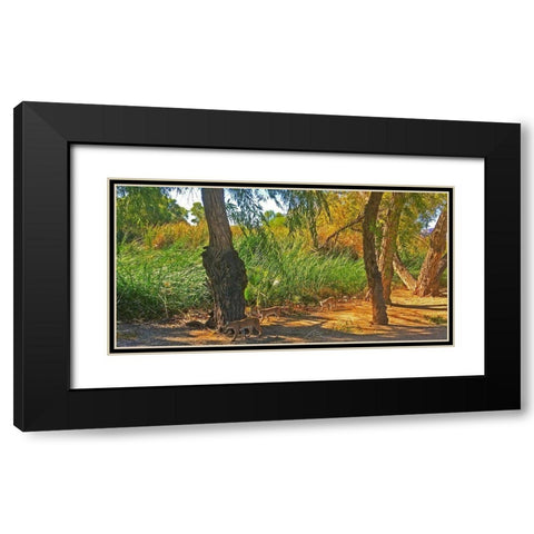 Bobcat II: Composite Black Modern Wood Framed Art Print with Double Matting by Popcorn