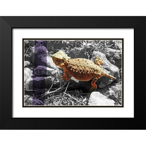Horned Toad B-W Purple Stripe Black Modern Wood Framed Art Print with Double Matting by Popcorn