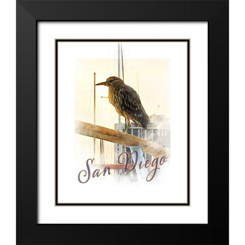 San Diego -Yellow Crowned Night Heron Black Modern Wood Framed Art Print with Double Matting by Tenoever, William