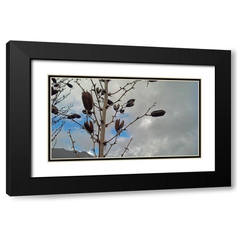 Yucca Pods Black Modern Wood Framed Art Print with Double Matting by Popcorn