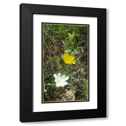 Wildflowers I Black Modern Wood Framed Art Print with Double Matting by Popcorn