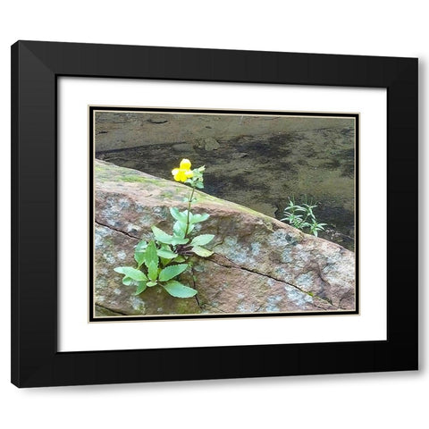 Riparian I Black Modern Wood Framed Art Print with Double Matting by Popcorn