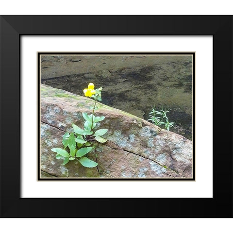 Riparian I Black Modern Wood Framed Art Print with Double Matting by Popcorn