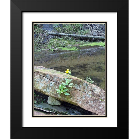Yellow Flower Black Modern Wood Framed Art Print with Double Matting by Popcorn